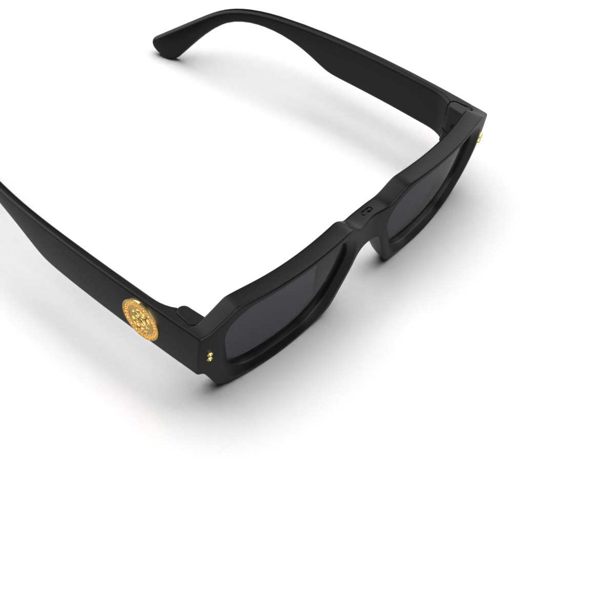 Lentes de Sol - Bronx Premium Series - Negro Mate Uroboro - Lente gris