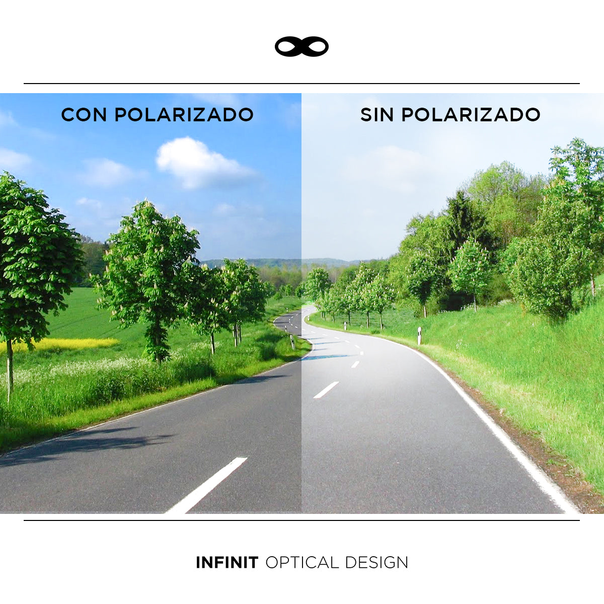 Trinity Bordo Lente Marron Polarizado