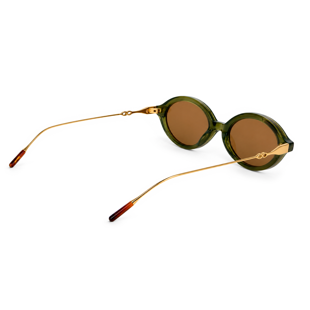 Fokus Bold Oliva Lente Marron