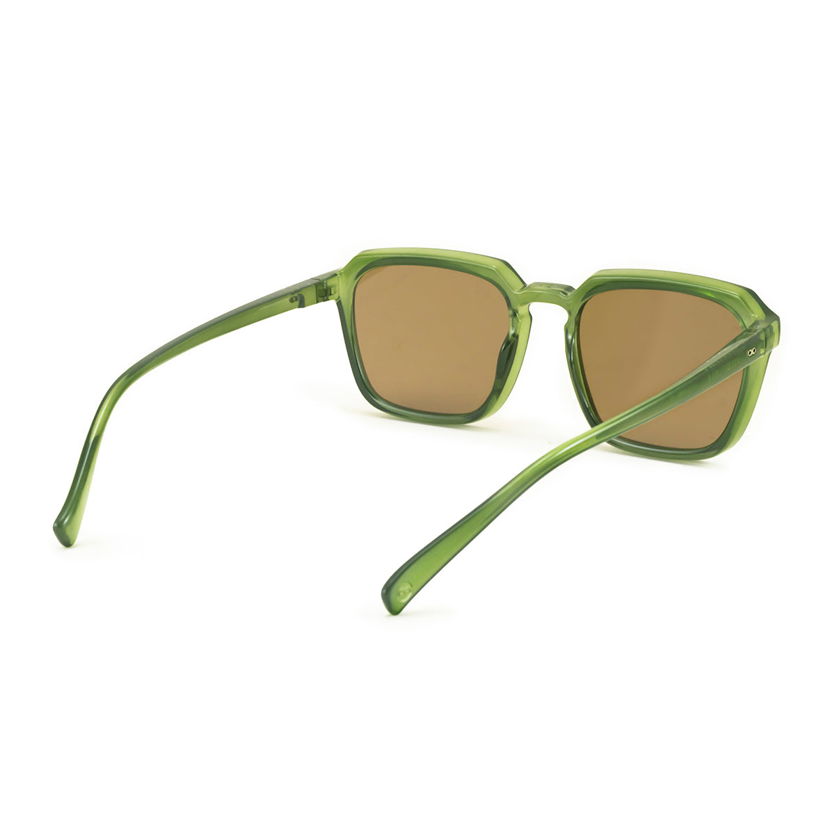 Lentes de Sol - Monaco - Verde translĂșcido - Lentes marrones