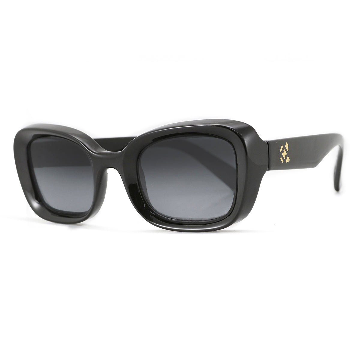 Lentes de Sol - Turin - Black Shiny - Lente gris degradado