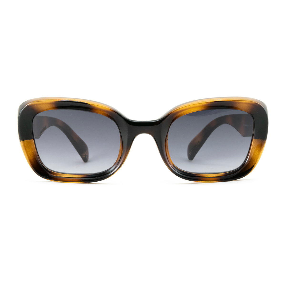 Lentes de Sol - Turin - Tortoise - Lente gris degradado